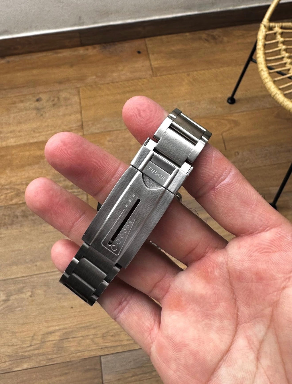 Tudor Pelagos Green Concept